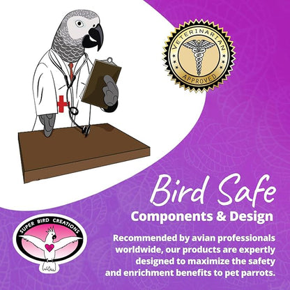 Super Bird Creations SB1217 Cardboard Treat Block - Interactive Chewing and Foraging Bird Toy for Medium Birds - Medium Conures, Parrots, Ringnecks - Encourages Exploration and Physical Exercise