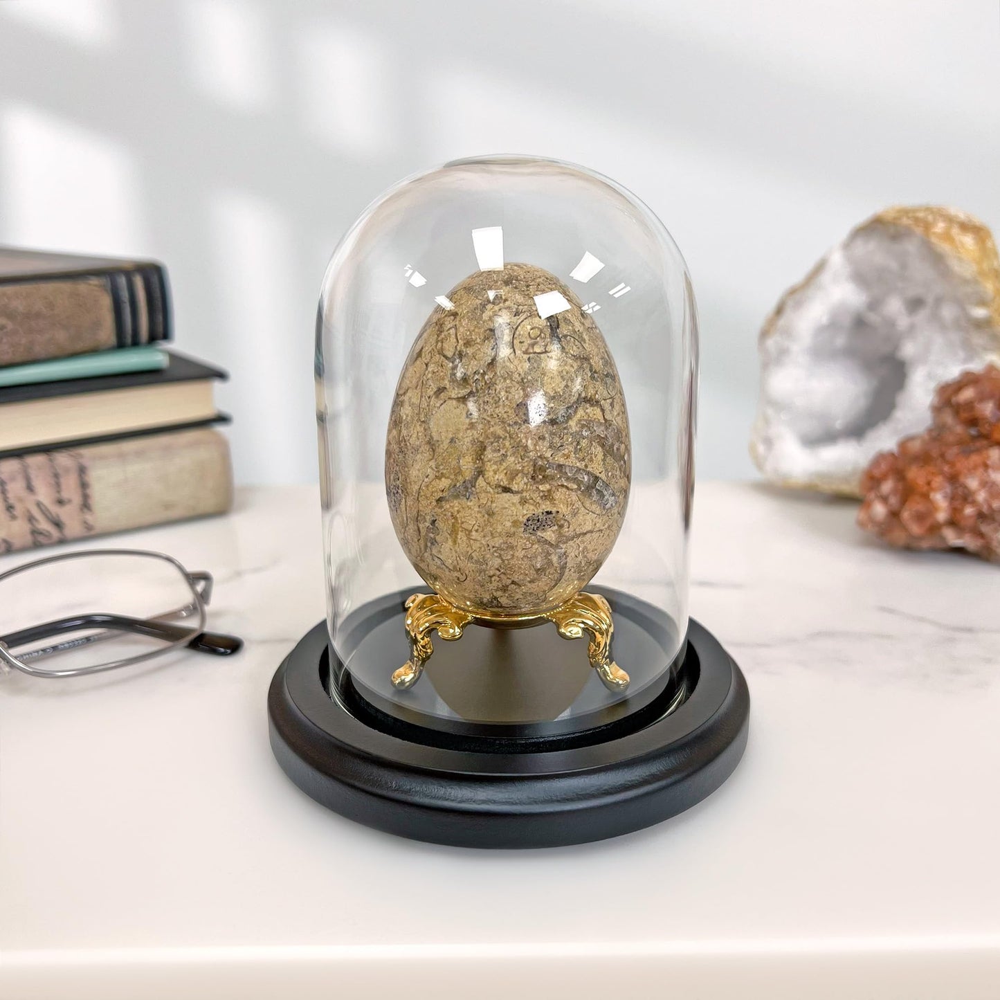 Plymor 3" x 4" Glass Display Dome Cloche (Black MDF Wood Base)