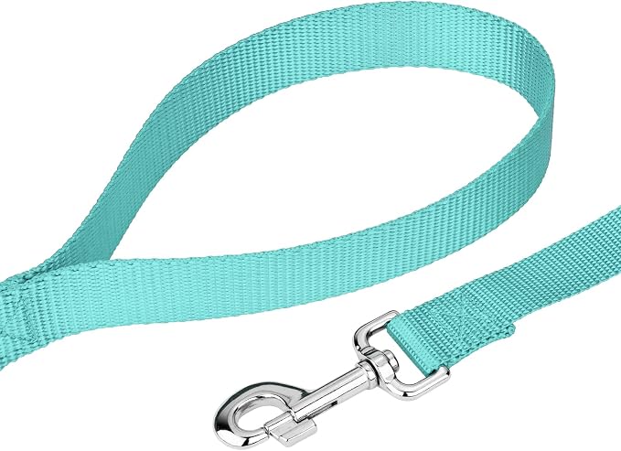 Country Brook Petz - Everyday Nylon Dog Collar and Leash - 10+ Cool Colors (1 Inch, Large, Light Cyan)