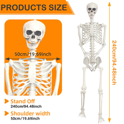 Lodou 1PC 7.9ft/240cm Halloween Giant Skeleton Full Body Realistic Human Bones with Adjustable Joints for Indoor Outdoor Halloween Decor