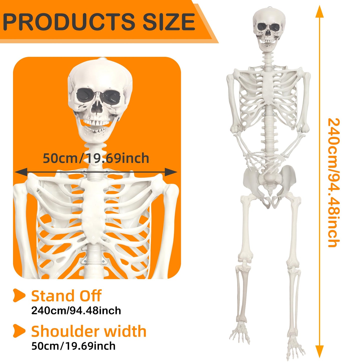 Lodou 1PC 7.9ft/240cm Halloween Giant Skeleton Full Body Realistic Human Bones with Adjustable Joints for Indoor Outdoor Halloween Decor