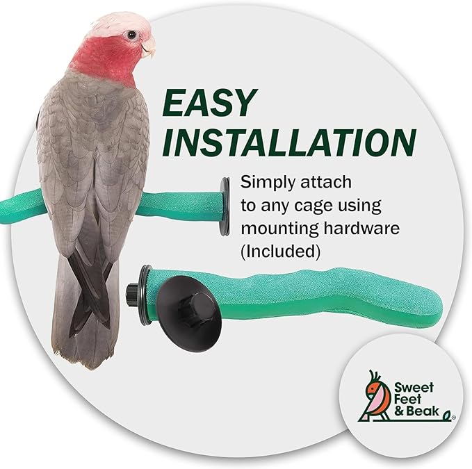 Sweet Feet & Beak Safety Pumice Bird Perch, X-Small 1/2" X 6", Lightweight Grinding Bird Perches for Cage - Bird Nail Trimming Perch for Healthy Beak & Feet - Multi-Size & Color Parrot Stand - Blue