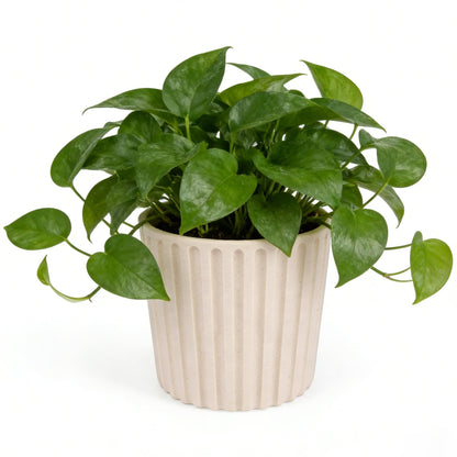 Ekirlin 7 Inch Indoor Plant Pot, Natural Resin Modern Planters, Graceful Curves Textures Garden Pot with Drainage Hole, Removable Rubber Stopper and Non-Slip Soft Pad, Decorative Pot for Home/Outdoor