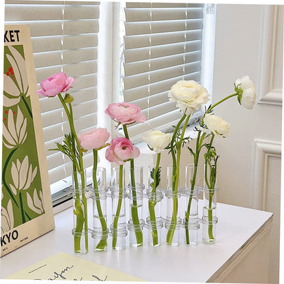 VICASKY Hydroponic Test Tube Vases 6-Piece Glass Plant Propagation Kit for Indoor Home Decor Wall Hanging Planter and Desktop Terrarium Arrangement