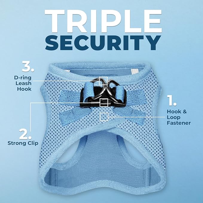 Best Pet Supplies Voyager Step-in Air All Weather Mesh Harness and Reflective Dog 5ft Leash Combo with Neoprene Handle, for Small, Medium and Large Breed Puppies - Baby Blue, Large