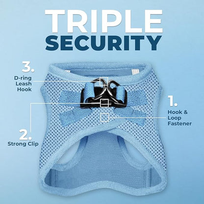 Best Pet Supplies Voyager Step-in Air All Weather Mesh Harness and Reflective Dog 5ft Leash Combo with Neoprene Handle, for Small, Medium and Large Breed Puppies - Baby Blue, XX-Small