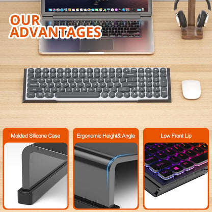 Richboom Computer Keyboard Stand Tilt PC Keyboard Stand Riser for Easy Ergonomic Typing, Acrylic Keyboard Tray Holder for Office Desk, Home, School, with Silicone Anti-Slip Case, Black