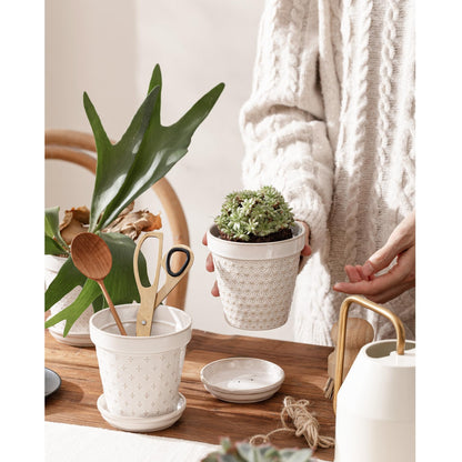 MIKIGEY Ceramic Succulent Pots with Drainage Hole & Saucer, 4 Inch Small Plant Pots, Ceramic Planter for Indoor Plants, Embossed Flower Pots, Home Decor, Set of 4, Off-White