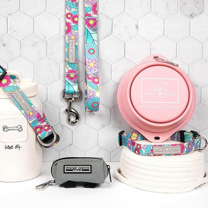 Lucky Love Dog Martingale Collar and Leash Set, Premium No Slip Martingale Collar for Dogs, Great for Whippets, Greyhounds, and More (Caroline, Small - Combo)