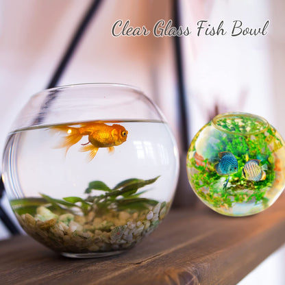 Clear Bowl Glass Vase Bubble Glass Round Vase Clear Bubble Planter Terrarium Fish Bowl Vase for Wedding Event Home Decor Flowers Fish(6 Pcs,4.5 x 3.7 x 5.9 Inch)