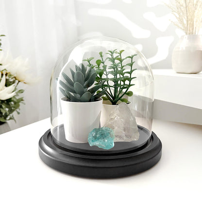 Plymor 5.5" x 5.5" Glass Display Dome Cloche (Black MDF Wood Base)