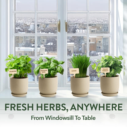 HOME GROWN Indoor Organic Herb Garden Kit, Unique Valentines Day Gift for Adults, Men, & Women,Grow 4 Herb Seeds for Kitchen Window Garden,Beginner DIY Hobby Gardening for Plant Lovers, Mom & Dad