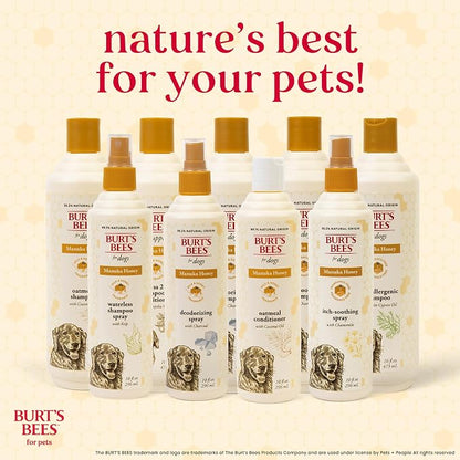 BURT'S BEES FOR PETS Deodorizing Spray for Dogs, Manuka Honey & Charcoal, Reduces Odor Between Baths, 95%+ Natural Origin, No Artificial Fragrance, Sulfates or Colorants, Milk & Honey Scent, 10 Fl Oz