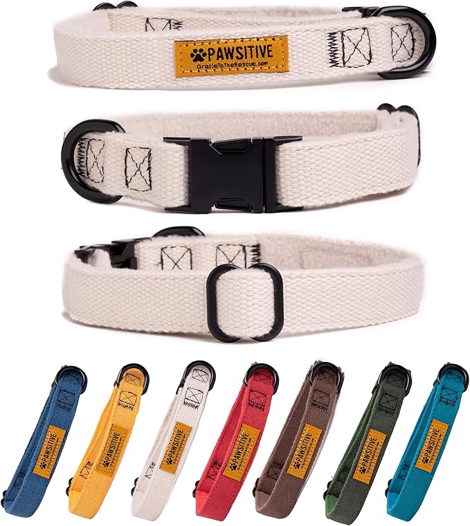 Pawsitive Hemp Dog Collar - Super Soft Hypoallergenic Lining. Great for Small, Medium and Large Dogs; Large Natural