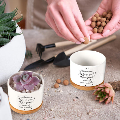 Seewey 12 Pcs Inspirational Succulent Pots Thank You Gift Bulk for Women Employee Teacher Coworker Sometimes You Forget You're Awesome Small Ceramic Plant with Bamboo Trays for Office Staff Graduation