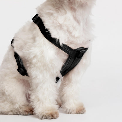 Fei & Eve Moxie H-Shape Dog Harness | Ultra-Lightweight | 3-Leash System for No-Pull Control | Easy On-Off | Adjustable 210D Breathable Nylon | Soft Padded Lining, Black, XS