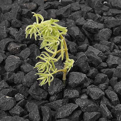 NUPICK 10 Pound Gravel Rocks, 0.5-0.7 Inches Polished Pebbles for Plants, Fish Tank, Clear Vase and More, Natural Black Stones