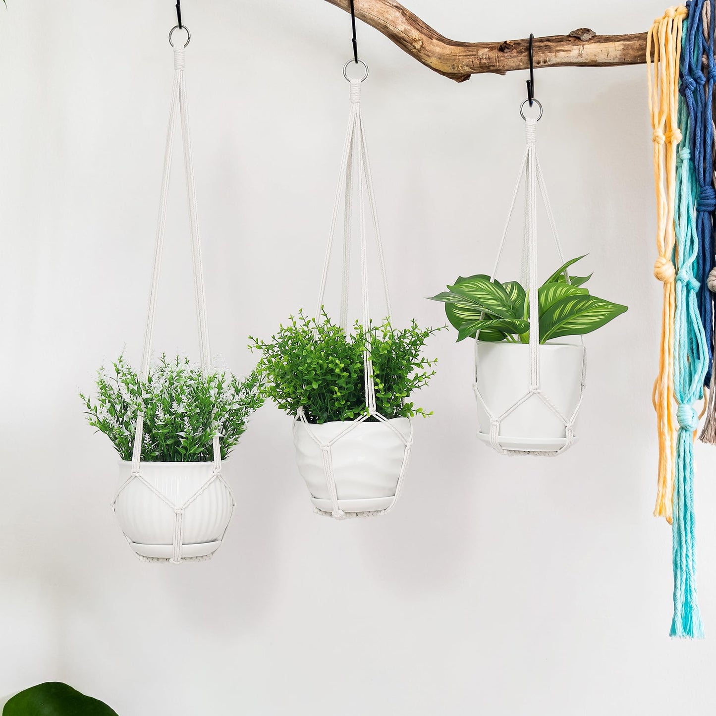 YIBOT 3 Pack Macrame Plant Hanger Indoor Hanging Planter Basket with 3 Hooks, 35"/29"/23" Crochet Plant Holder Stand No Tassels for Indoor Outdoor Boho Home Decor, Ivory (POTS NOT Included)