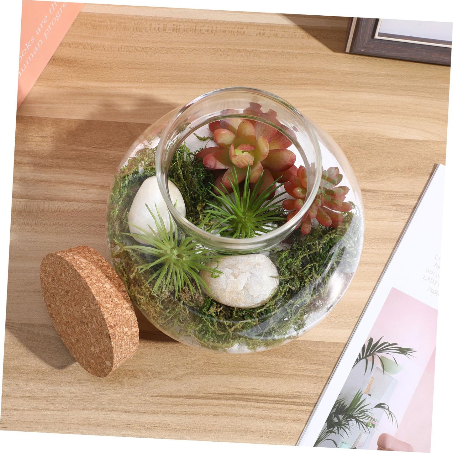 BESPORTBLE Glass Moss Bottle Empty Glass Jar Moss Crafts Home Decor Plant Terrarium