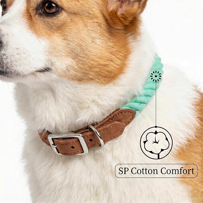 Mile High Life Genuine Leather Dog Collar, Durable Braided Cotton Rope Collar with Metal Pin Buckle for Small Medium Large Dogs (Green, S Neck 11"-15")