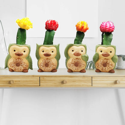 Bird/ Penguin Mini Succulent Pots, 3.6x3.5x2.3,Ceramic Animal Succulent planters,Cute Set- 4 small Flower pots,Cactus Animal Planter, Indoor/ outdoor Plant Pot,Funny Planters with Drainage Hole