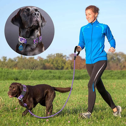 Ladoogo Reflective Dog Collar Padded with Soft Neoprene Breathable Adjustable Nylon Dog Collars for Small Medium Large Dogs (X-Small (Pack of 1), Purple/Pink Floral Collar+Leash)