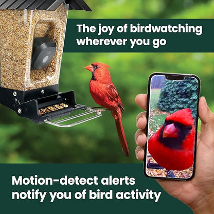 Perky-Pet Solar Powered Smart Bird Feeder with Camera - Squirrel-Resistant, 3.2L Capacity, Motion Activated 1080p HD WiFi Live Stream Camera, SPCAM, SPCAMSLR - Camera Feeder Gift Idea, Red