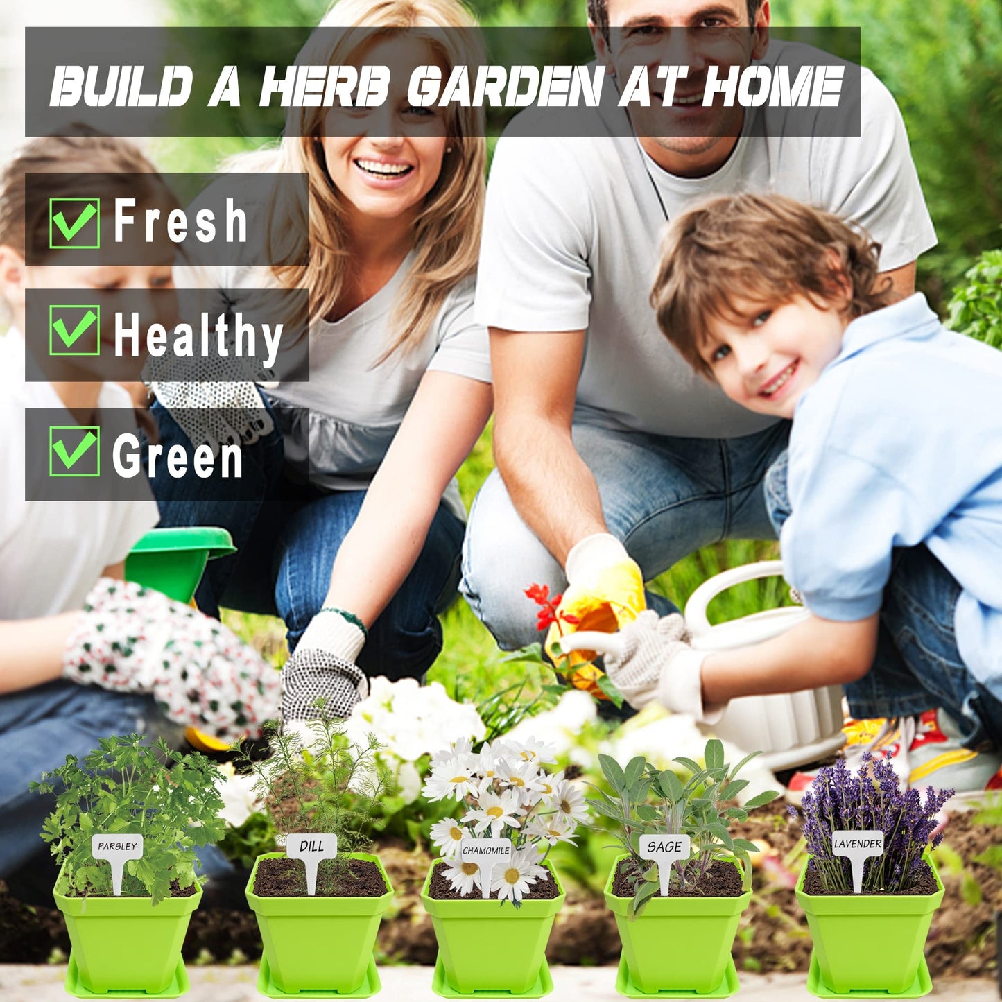 Meekear 10 Herb Seeds Garden Starter Grow Kit with Green Pots, Markers, Soil Discs, Watering, Herb Clipper, Complete Indoor Potted Plant Growing Set for Kitchen DIY