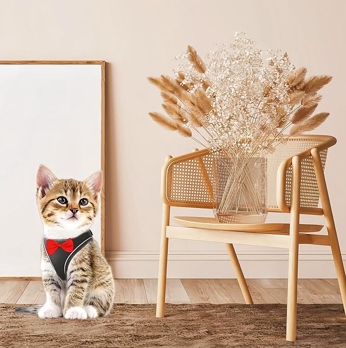 2 Pack Adjustable Bunny Rabbit Harness and Leash Set Breathable Mesh Vest Harness for Rabbits Kitten Ferret Puppy Small Pets Walking Supplies-Red&Black,S