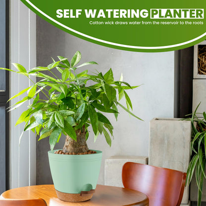 Utopia Home Self Watering Pots for Indoor Plants, Planters for Indoor Plants, Multi-Size Flowerpot, Set of 5 Plant Pots with Drainage & Reservoir, 6.8"/6.4"/5.9"/5.5"/4.9" (Olive Green)