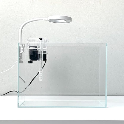 Nano Aquarium Kit 2.2 Gallon, Rimless Glass Betta Fish Tank with Filter & LED Light, 12" x 6" x 8" Small Desktop Fish Tank for Home Office (Transparent, Essential)
