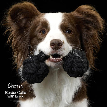 Pet Passion Brady The Rope Tug Toy 3-Pack Organic Cotton Dog Rope Pull Toys for All Pet Breeds, Sandy Chic, One Size