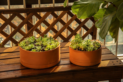 D'vine Dev 10 Inch Succulent Terracotta Shallow Pot with Drainage Hole and Saucer, Round Cylinder Planter Pot for Plant Flower, 40-Y-B-0