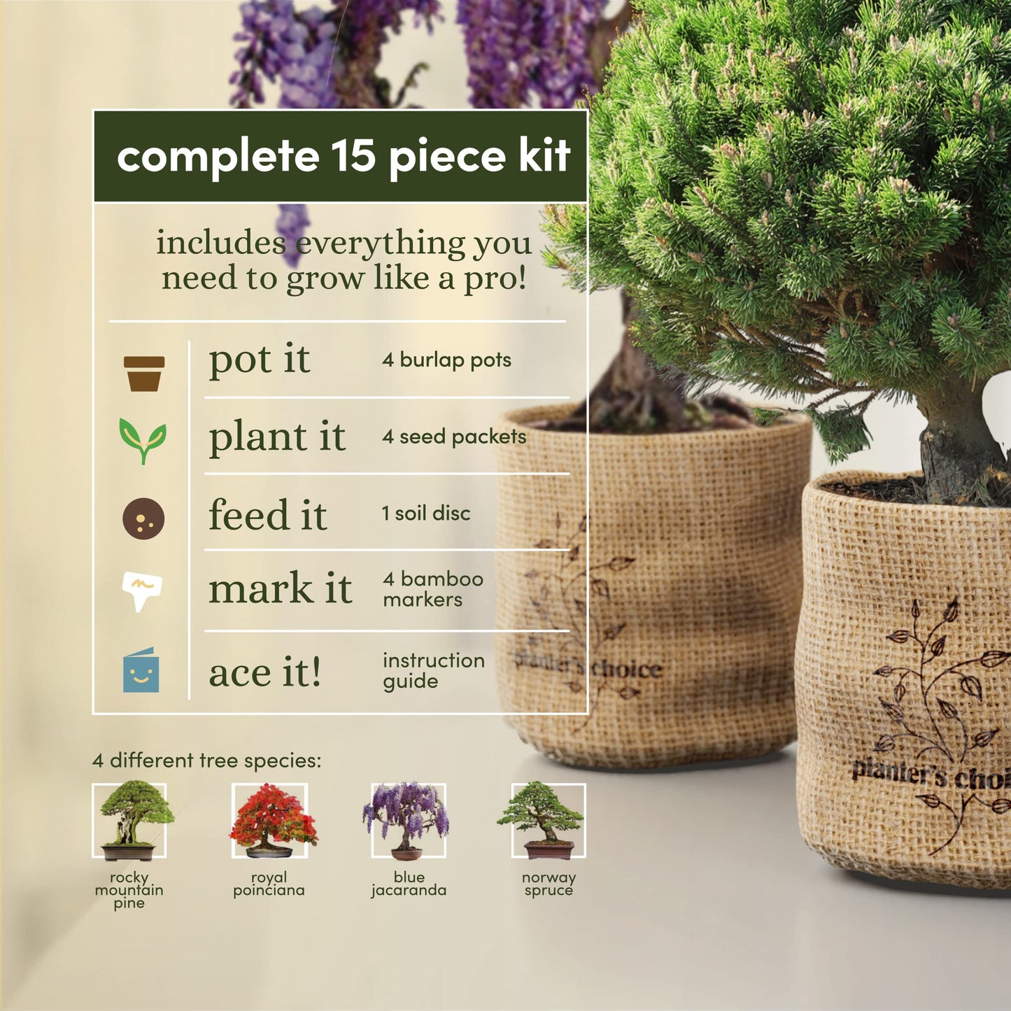 Planter's Choice Bonsai Tree Kit for Beginners & Plant Lovers - Grow Your Own Bonsai from Seed, 4 Species Starter Kit with Burlap Pots, Shears, Soil Disc, Markers & Guide, Gift for Mom or Grandma