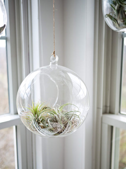 WGVI WGV Hanging Terrarium Globe, Width 8", Height 9", DIY Air Succulent Planter, Clear Glass Vase Orb with Flat Bottom, Candle Holder for Windowsill Outdoor Garden Decor, 1 Piece