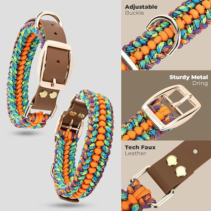 Tirevt Hand-Woven Dog Collar and Leash Set:Color-Block Design, Premium Reinforced Buckle, Adjustable Artisan Paracord for Puppies, Small, Medium & Large Dogs (Rainbow, M)