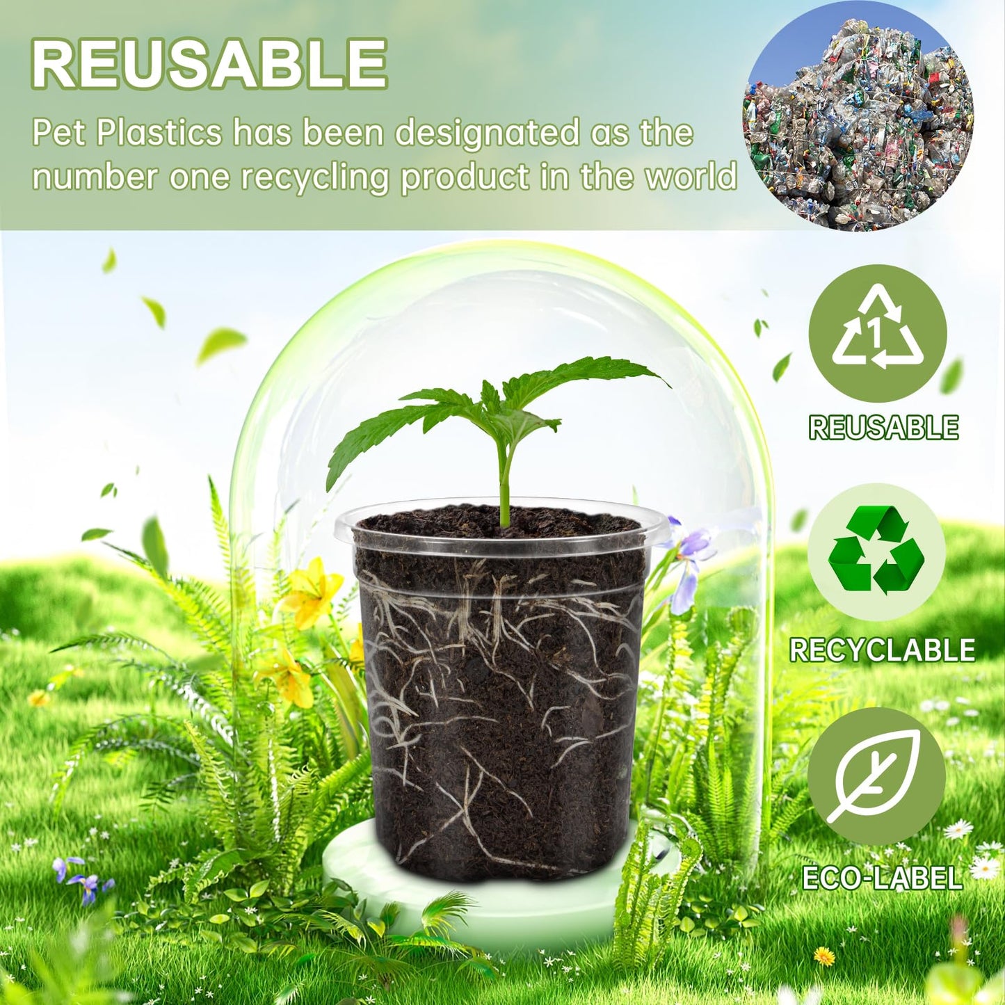 WandaQueen 30 Packs 5 Inch Reinforced Clear Nursery Pots for Plants with Drainage Holes, High Transparency Plastic Seedling Plant Pot with 20 Labels
