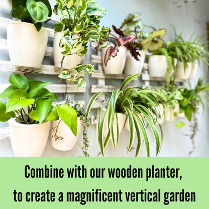 LaLaGreen Bundle- 10 Pack, 5 Inch Self Watering Plastic Pot + 2 Pack, 15.7 Inch Rustic Wooden Plant Holder Wall Mount Vertical Live Eco Garden System Trendy Herb Orchid Airplant Hanging Frame Display