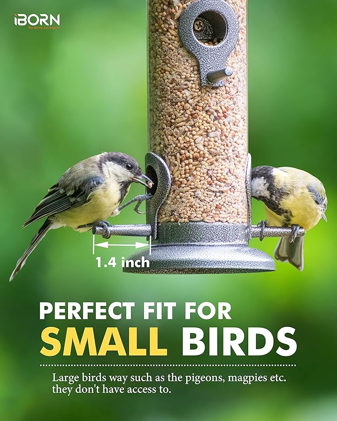 iBorn Metal Bird Feeder Hanging Wild Bird Seed Feeder for Mix Seed Blends Heavy Duty All Metal Silver Finish,15 Inch 6 Port(Seed is not Included),Gift Box
