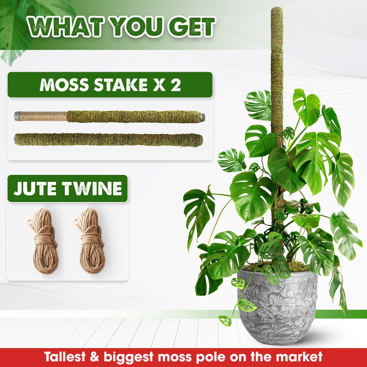 DUSPRO 80 Inches Large Moss Pole for Plants Monstera, Plant Stakes for Indoor Plants, Monstera Plant Support, Plant Support/Plant Pole for Big Climbing Plants Indoor (1pc., 80'')