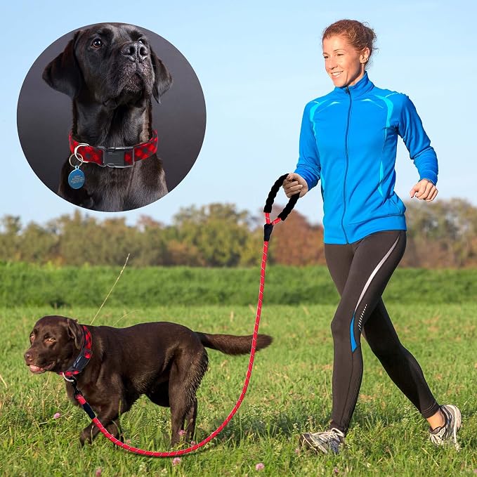 Ladoogo Reflective Dog Collar Padded with Soft Neoprene Breathable Adjustable Nylon Dog Collars for Small Medium Large Dogs (Medium (Pack of 1), Red Plaid Collar+Leash)