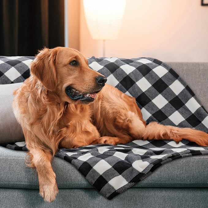 BEDELITE Plaid Fleece Throw Blanket for Couch, Black & White Checkered Flannel Blanket, Cozy & Soft Buffalo Plaid Decor Blanket for Women, Men, 50"x60"