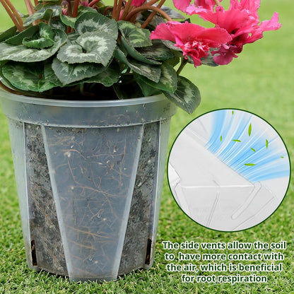 THMFHMW 6/8/10/12 Inch Large Clear Nursery Deep Pots with Drainage Hole 12 Pack, Deep Plant Pots with Drainage for Seedling Flower Vegetable, Ideal for Hyacinths, Amaryllis, Reusable Deep Pots