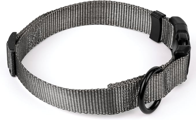 Country Brook Petz - Everyday Nylon Dog Collar and Leash - 10+ Cool Colors (1 Inch, Large, Charcoal)