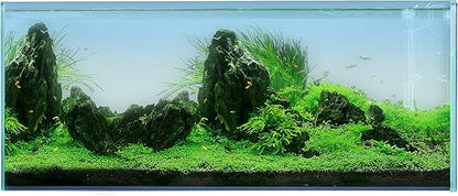 Landen 120P 72.2 Gallon Rimless Low Iron Aquarium Fish Tank, W47.2 × D19.7 × H19.7 (120x50x50cm) 12mm Thickness with Black Nano Foam Leveling mat Included