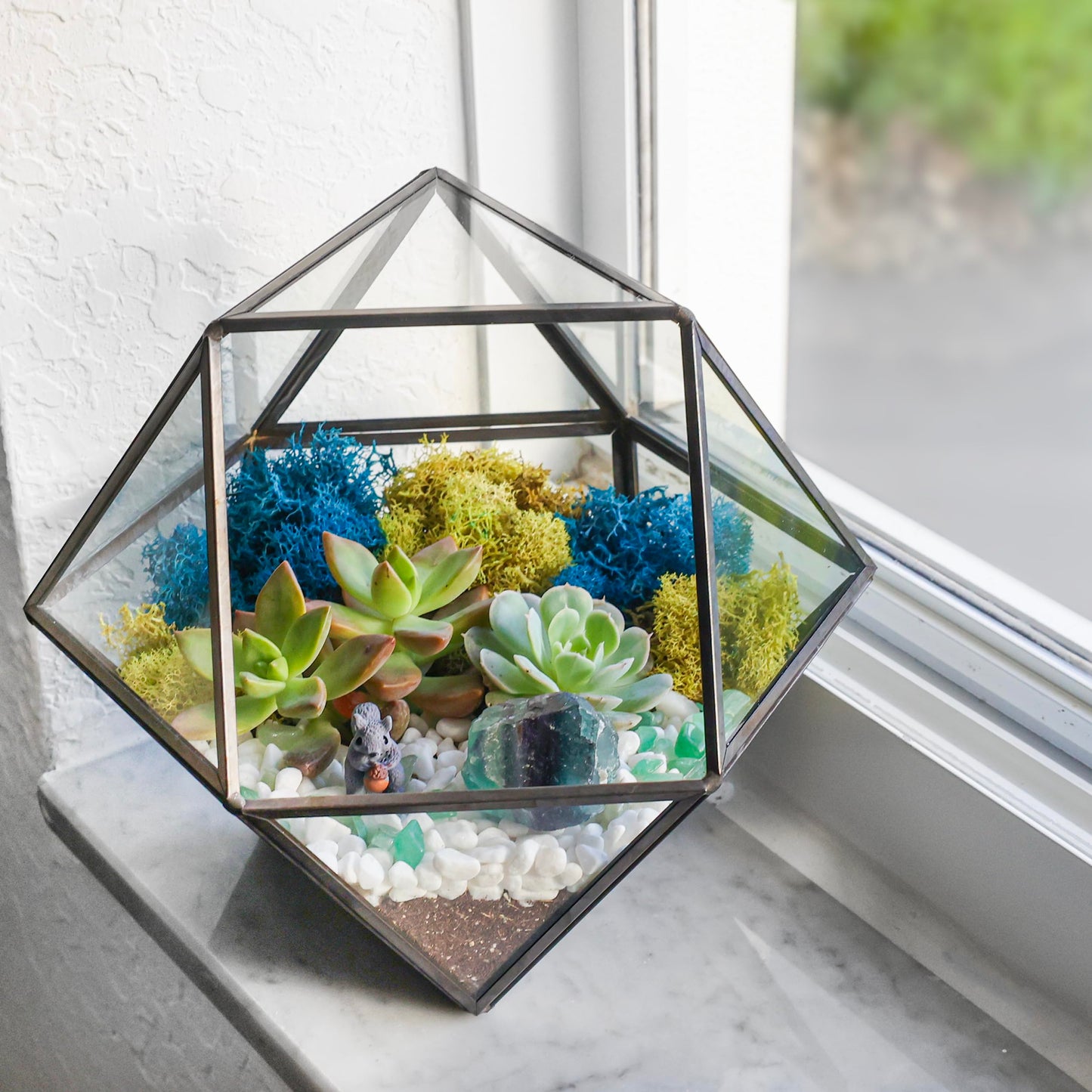Creations by Nathalie DIY 7" Geometric Terrarium Kit - Build Your Own Glass Terrarium for Adults & Teens with Moss, Crystals, Tools & Decor - Handcrafted in the USA (Live Plant Included)