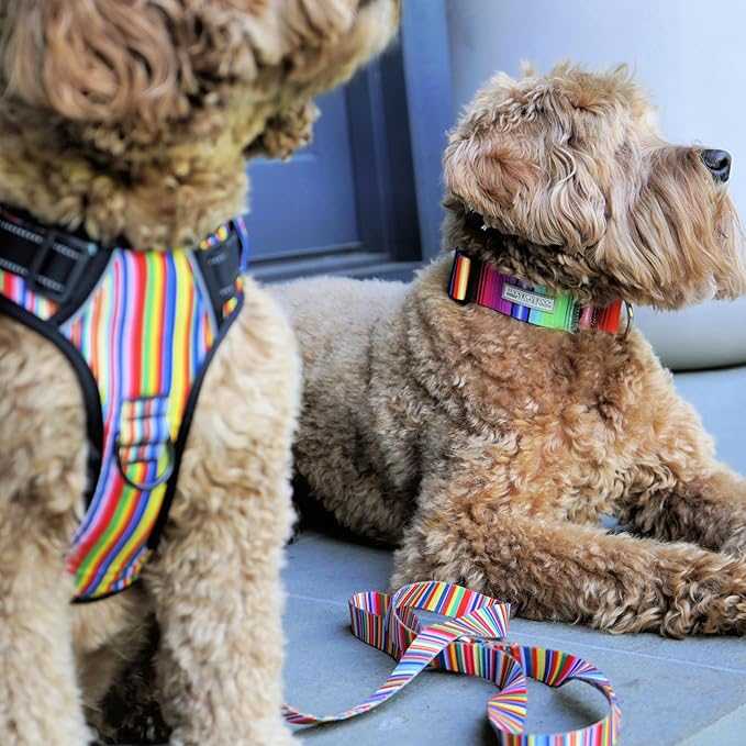 Lucky Love Dog Harness, Easy to Walk, No Pull Dog Harness, Adjustable Custom Fit (Hippie, Extra Small)