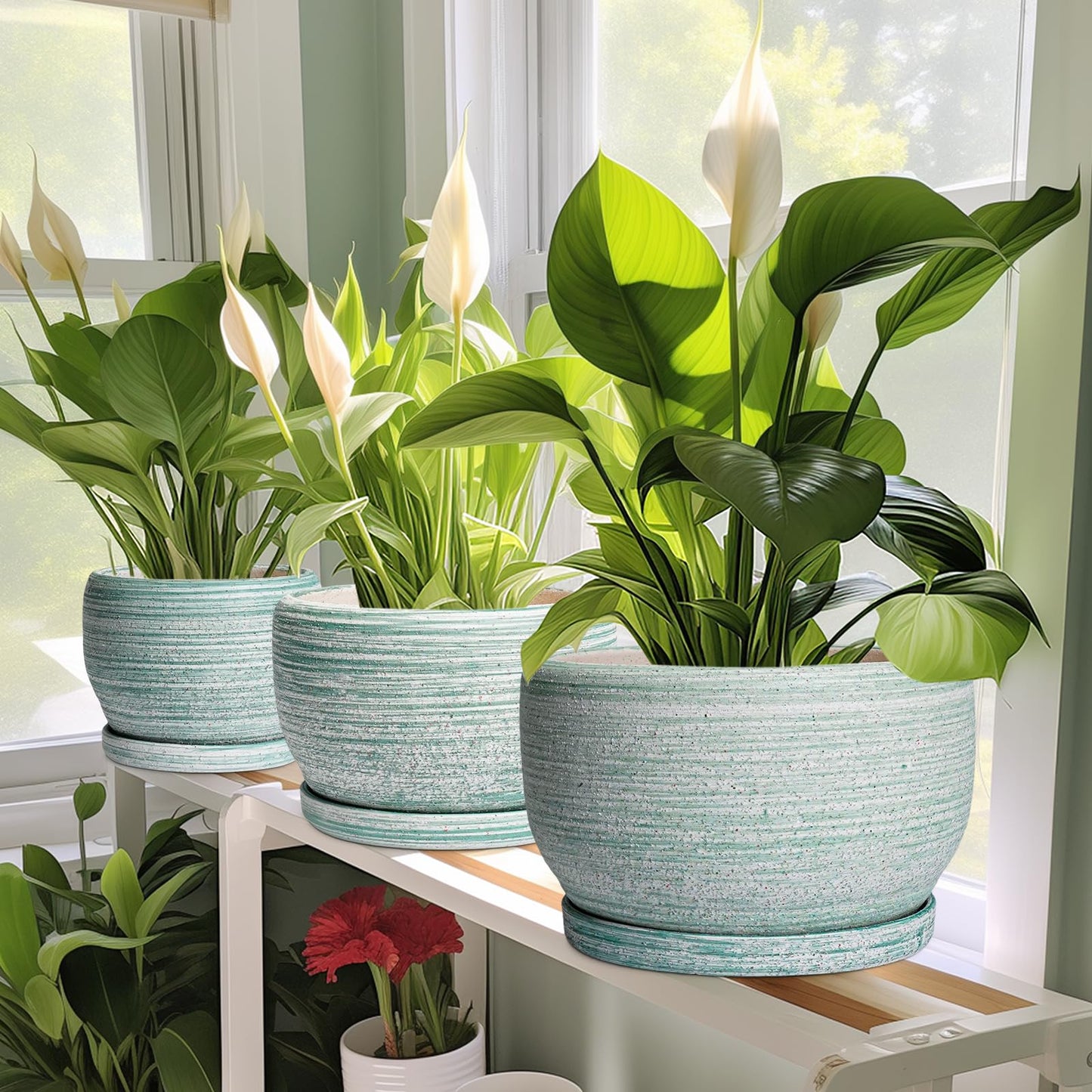 SQOWL Ceramic Plant Pots - 6 Inch Planter with Drainage Hole and Tray, Round Flower Pot for Indoor Plants, Decorative Succulent Planter Outdoor, Home House Decor, Gifts for Women Men, Green