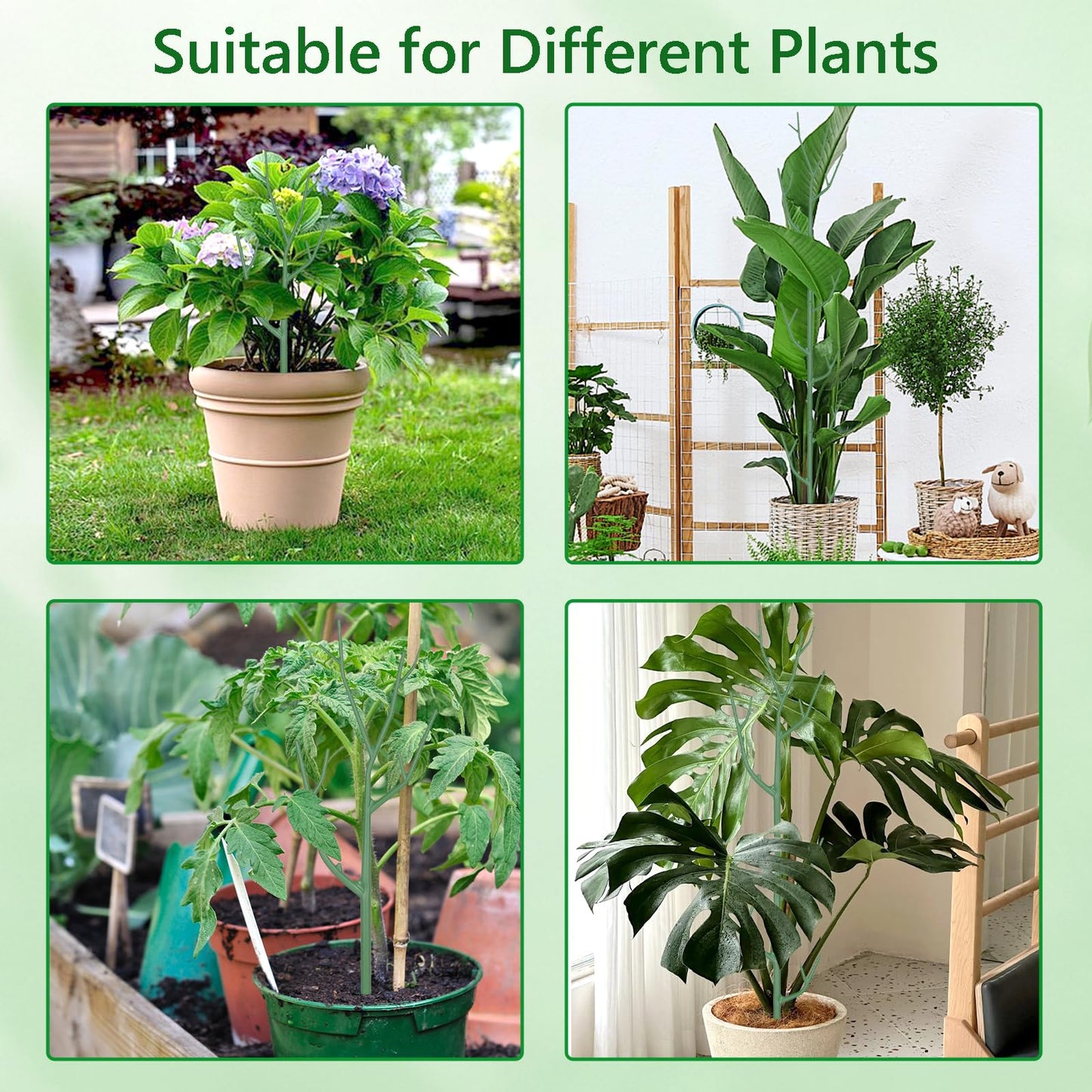 Obralitic 15 Pack Stackable Plant Support Stakes, Versatile Garden Trellis for Climbing & Vining Plants, Sturdy Reusable Plant Poles for Indoor & Outdoor Potted Plants, Monstera, Pothos, Philodendron