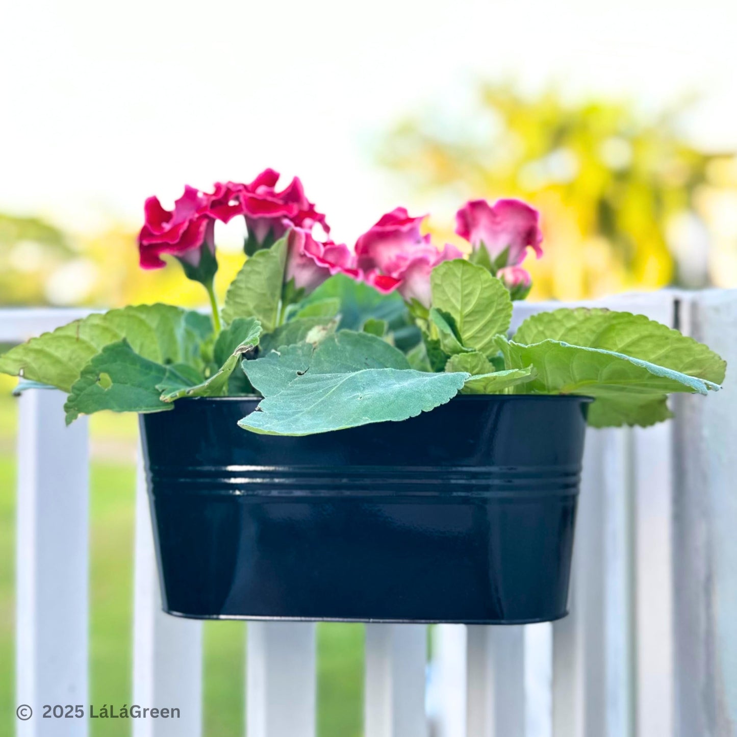 LaLaGreen 11.8 Inch Rail Planter (8-PIECE Combo Set) Black Metal Railing Fence Hanging Planters for Outdoor Plants, Modern Balcony Gardening for Apartment Garden Style Iron Patio Flower Pot Deck